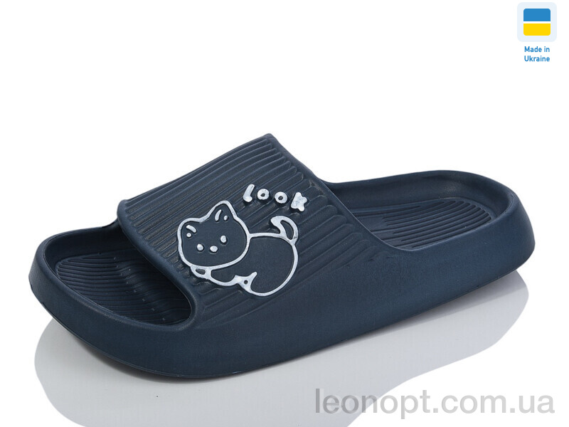 Шльопанці Lost Shoes N104 синій