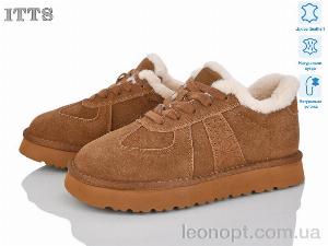 Кросівки ITTS 5268-45