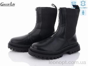 Черевики Gallop Lin D866
