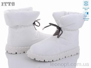Дутики ITTS R16 white old